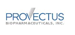 Description: Provectus Logo